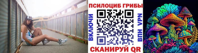 Псилоцибиновые грибы Psilocybe  Купить где  Верея 
